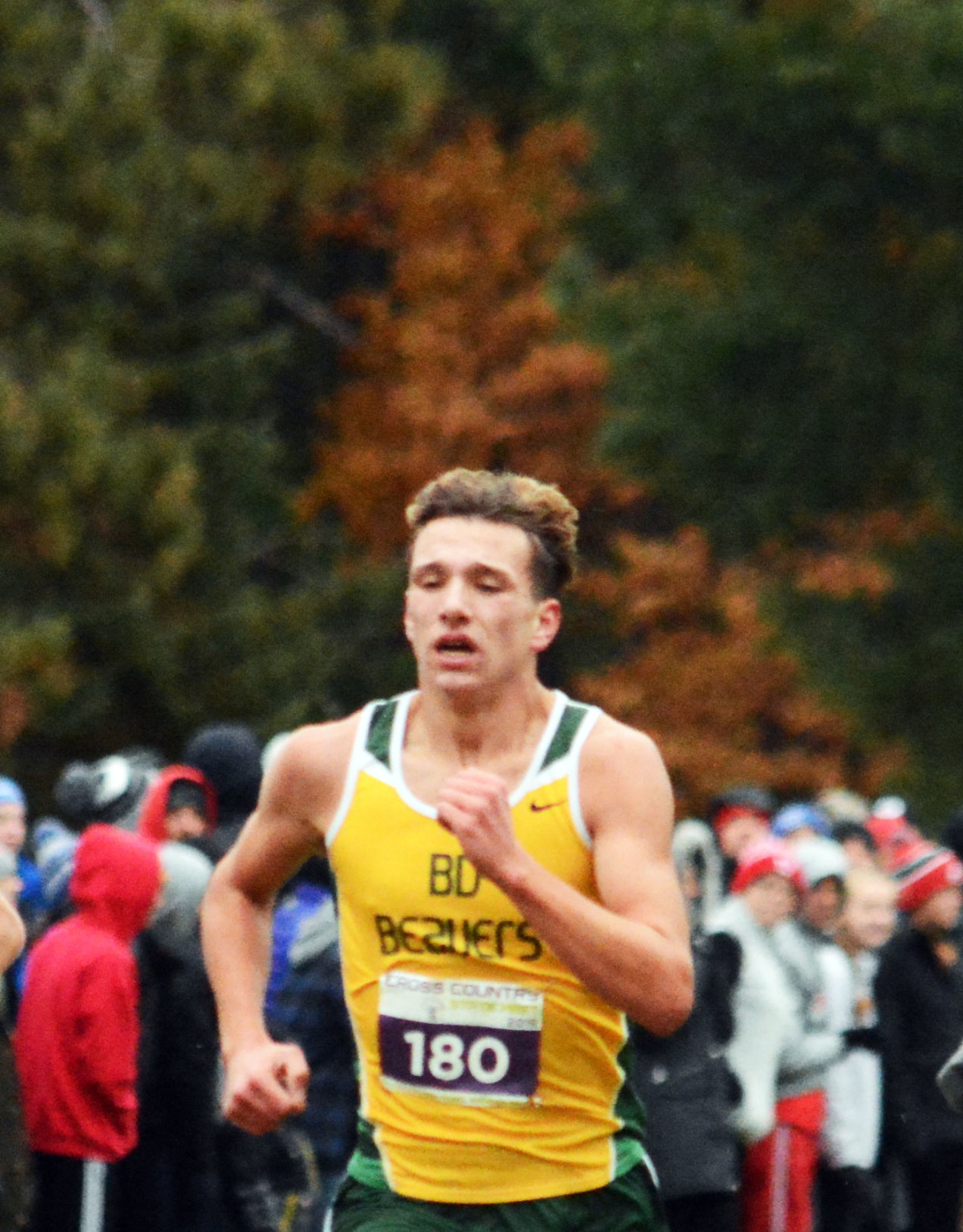 Gavin Czarnecki 5.jpg